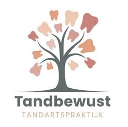 Tandartsenpraktijk Tandbewust, 's-Gravenhage openingstijden