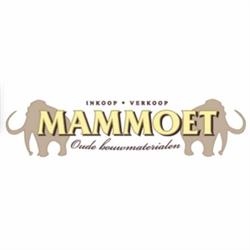Mammoet Oude Bouwmaterialen, 's-Gravenhage openingstijden