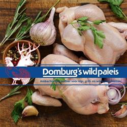 Domburgswildpaleis, Haarlem openingstijden
