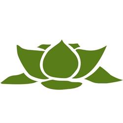 Yoga Best, openingstijden