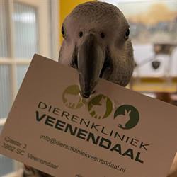 Dierenkliniek Veenendaal, openingstijden