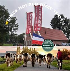 Auto-reparatiebedrijf A. Kerkdijk, De Krim openingstijden