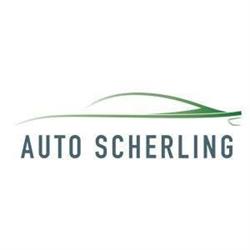 Scherling Auto's Wilp, openingstijden