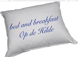 Bed & Breakfast Op de Hilde, Dalfsen openingstijden