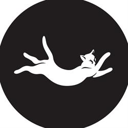 Critical Alignment - Yoga en Therapie, Amsterdam openingstijden