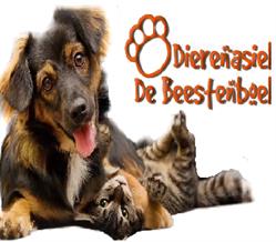 Dierenasiel de beestenboel, Weert openingstijden