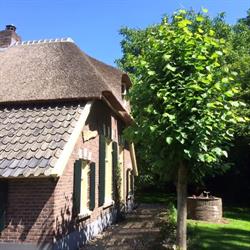 B&B de Voshaar - Laren, openingstijden