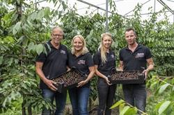 Fruitbedrijf Hoekstra BV, Luttelgeest openingstijden