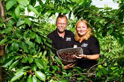Fruitbedrijf Hoekstra BV, Luttelgeest openingstijden