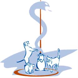 Dierenkliniek Batau, Nieuwegein openingstijden