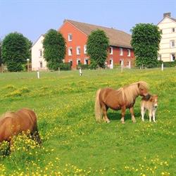 Bungalowpark Landsrade, Gulpen openingstijden