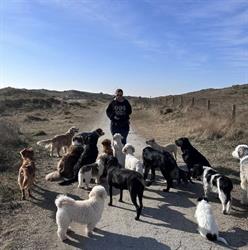 Le Chien, Wassenaar openingstijden