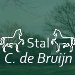 Administratiekantoor C. de Bruijn, Wijk bij Duurstede openingstijden