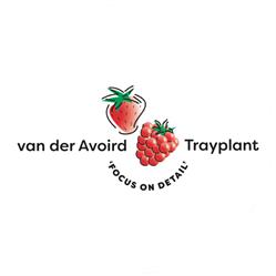 v/d Avoird Trayplant B.V., Bavel AC openingstijden