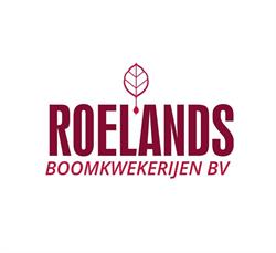 Roelands Boomkwekerijen B.V, Zundert openingstijden