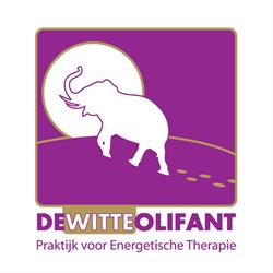 Natuurgeneeskundig Energetisch Therapie De Witte Olifant, Hoogeveen openingstijden