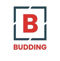 Assurantiën Budding BV Makelaar en Taxaties, Echteld openingstijden