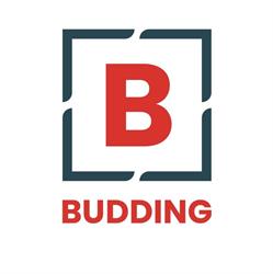 Assurantiën Budding BV Makelaar en Taxaties, Echteld openingstijden