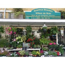 Acanthus Bloemen, Bussum openingstijden
