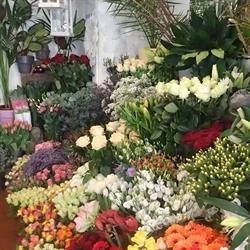 Acanthus Bloemen, Bussum openingstijden