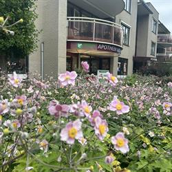 Alphega Apotheek Lichtenvoorde B.V., openingstijden