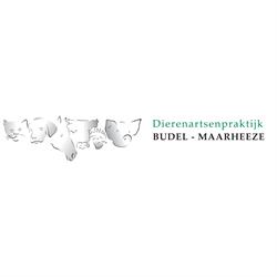 Dierenartsenpraktijk Budel-Maarheeze, openingstijden