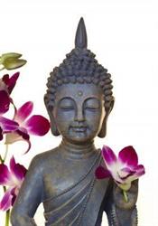 Balance Stones, Etten-Leur openingstijden