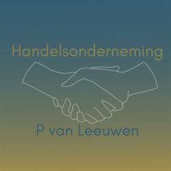 Handels & Advies Bureau P. van Leeuwen, Capelle aan den IJssel openingstijden