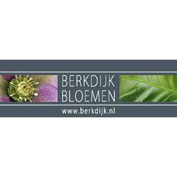 Berkdijk Bloemen Oisterwijk, openingstijden