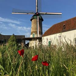 De Kilsdonkse Molen, Heeswijk-Dinther openingstijden