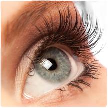 Groothandel Beauty by Lisa, Zoetermeer openingstijden