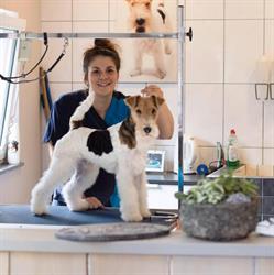 Honden Verzorgings Instituut Limburg, Heerlen openingstijden