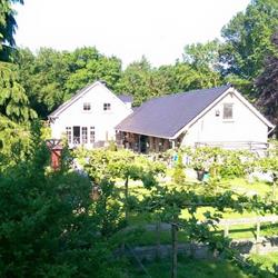 B&B "Vanhunebednaarjulliebed", Schoonoord openingstijden