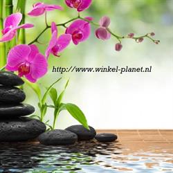 Winkel-planet, Aadorp openingstijden
