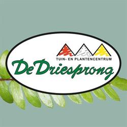 Tuincentrum De Driesprong, Zoetermeer openingstijden
