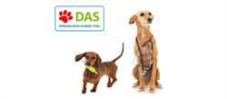 Dierenkliniek Almere Stad, openingstijden