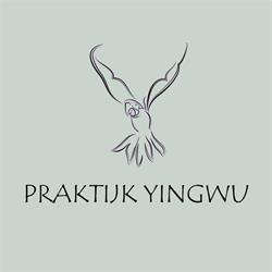 Praktijk Yingwu, Aalsmeer openingstijden
