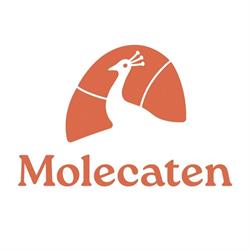 Molecaten Park Waterbos, Rockanje openingstijden