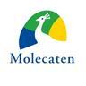 Molecaten Park 't Hout, Bakkeveen openingstijden