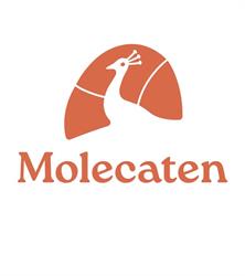 Molecaten Park Kuierpad, Wezuperbrug openingstijden