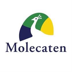 Molecaten Park De Koerberg, Heerde openingstijden