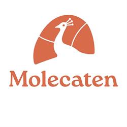 Molecaten Park Landgoed Ginkelduin, Leersum openingstijden