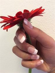 Shirley's Nails and Beauty, 's-Gravenhage openingstijden
