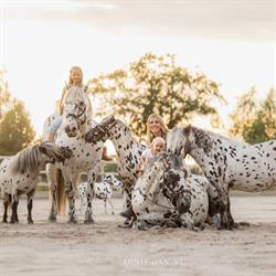Human & Horse Academy, Kootwijkerbroek openingstijden