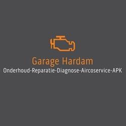 Garage Hardam, Ammerzoden openingstijden