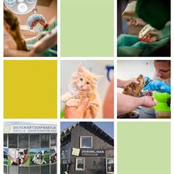 Dierenartsenpraktijk Zwolle Zwartewaterland, openingstijden