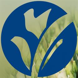 Barnhoorn Flowers BV, Aalsmeer openingstijden