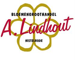 Lindhout BV Bloemengroothandel A, Nistelrode openingstijden