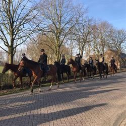 Zandeind BV Manege 't, Riel openingstijden