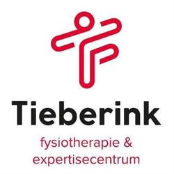 Fysiotherapie Tieberink, Enschede openingstijden